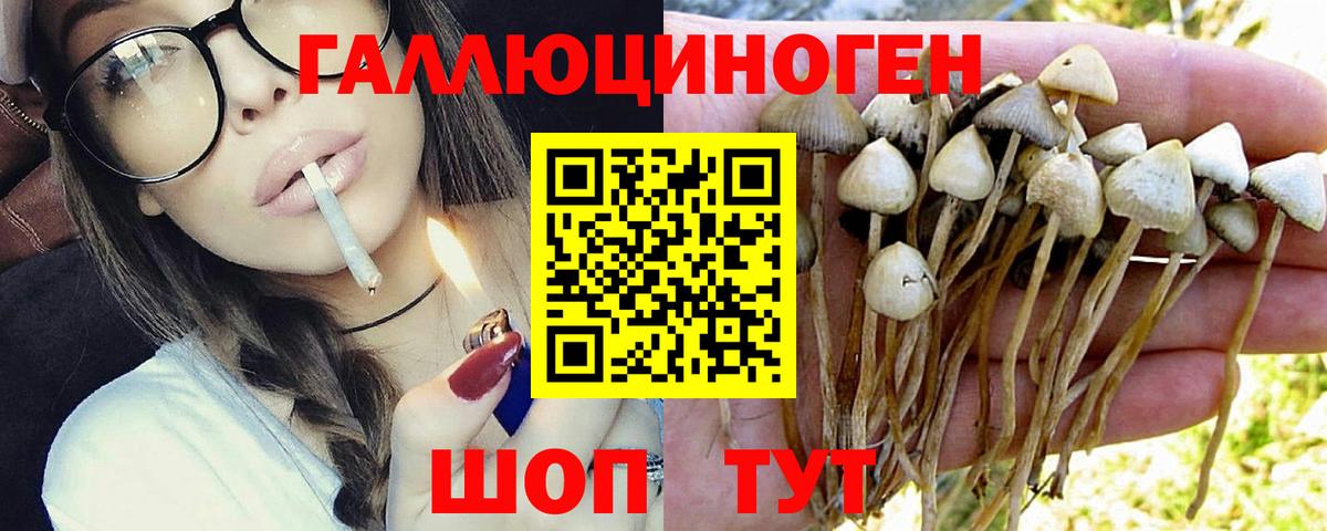 Хабаровск  Псилоцибиновые грибы мицелий  Вход с VPN 