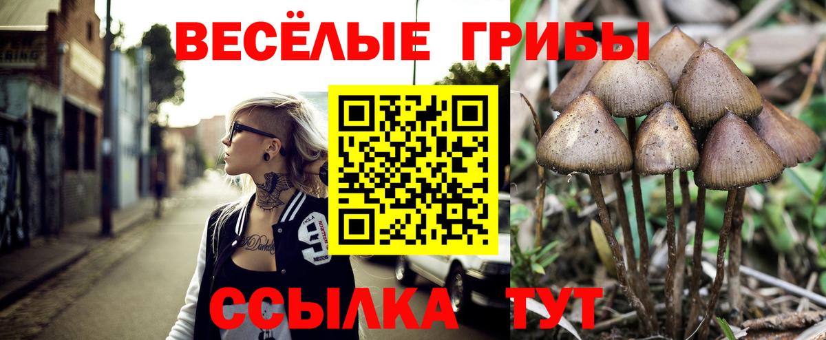 Псилоцибиновые грибы мицелий Хабаровск